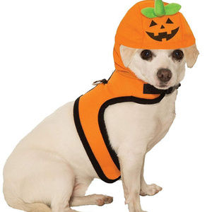 Halloween Pet Costume Medium Cat, Dog.